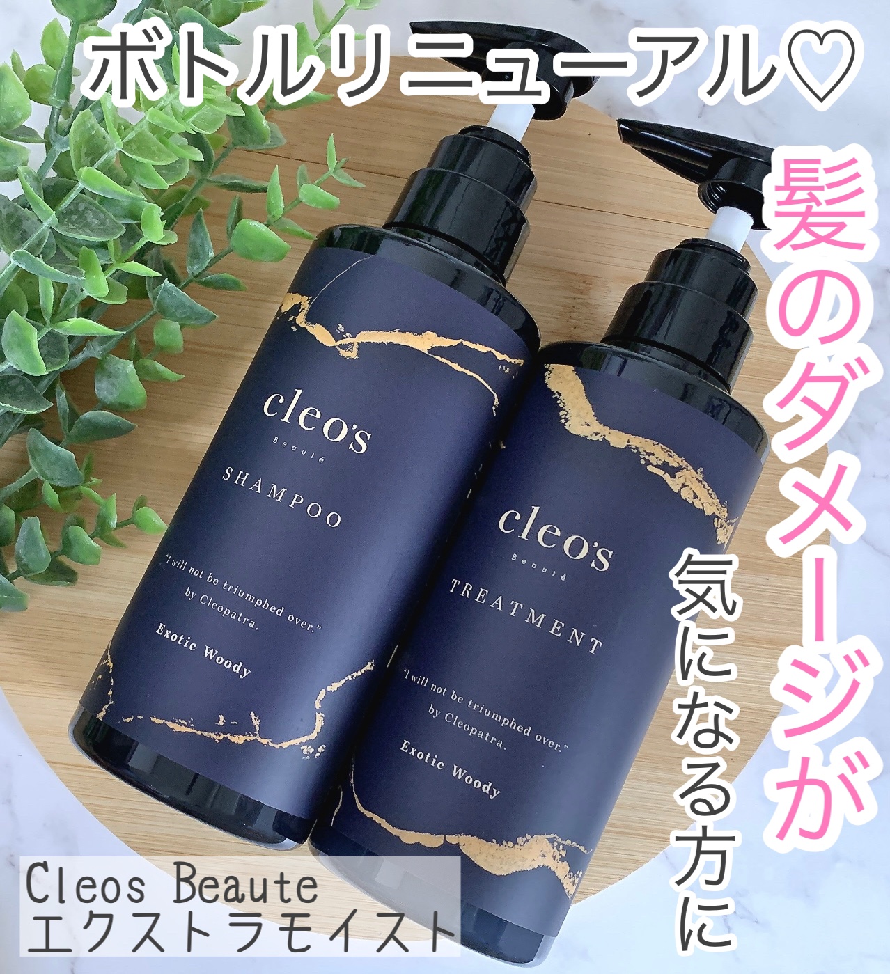 エクストラモイストシャンプー＆リペアトリートメント セット/Cleo's Beauté/市販シャンプーを使ったクチコミ（1枚目）