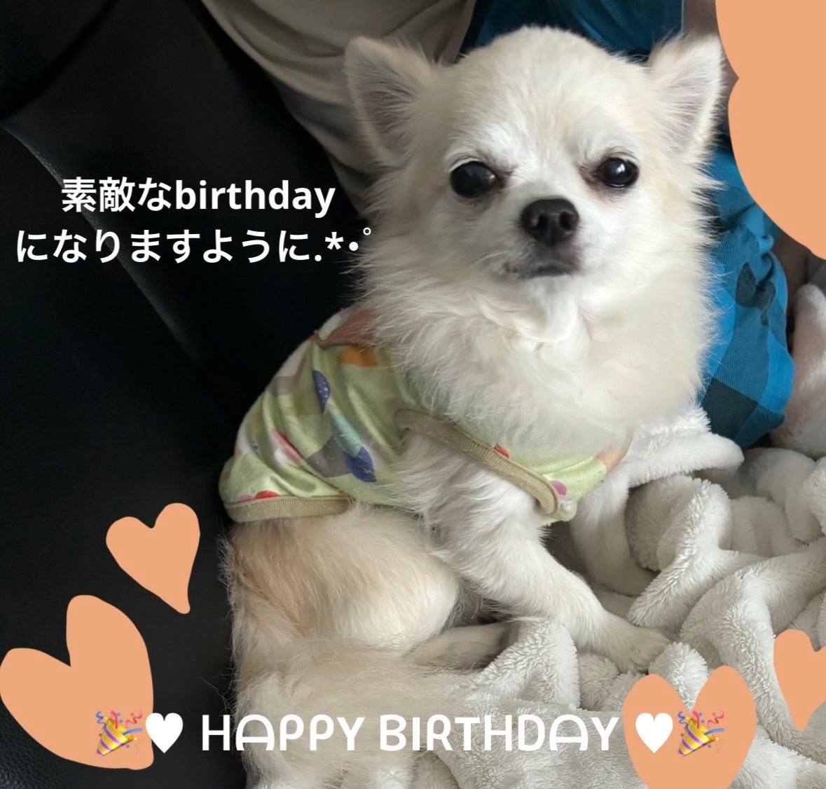 オハナ・マハロ フレグランスネイル 〈ピカケ アウリィ〉/OHANA MAHAALO/マニキュアを使ったクチコミ(8枚目)