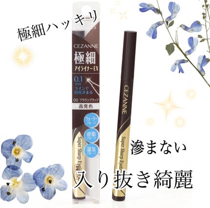 極細アイライナーEX/CEZANNE/リキッドアイライナーを使ったクチコミ(1枚目)