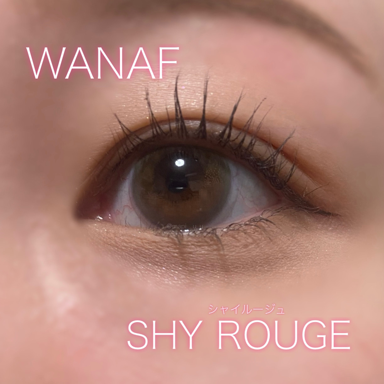 WANAF 1day/WANAF/ワンデー（１DAY）カラコンを使ったクチコミ（1枚目）