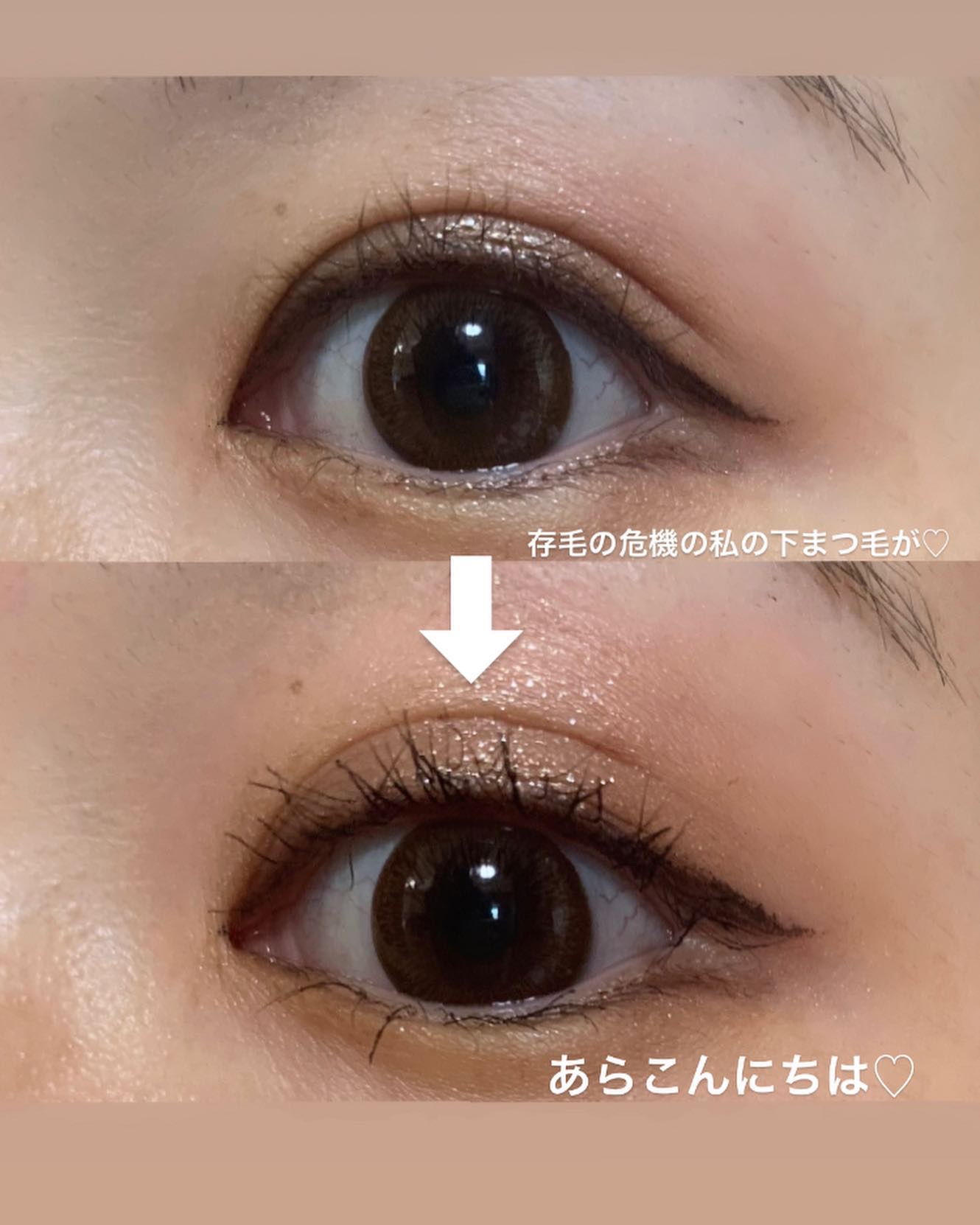 パリジェンヌラッシュリフトマスカラ/Paris./マスカラを使ったクチコミ（2枚目）