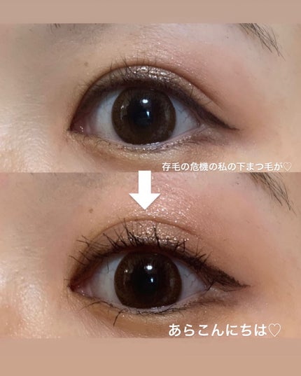 パリジェンヌラッシュリフトマスカラ/Paris./マスカラを使ったクチコミ(2枚目)