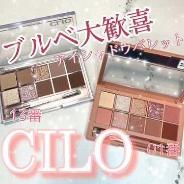 プロ アイ パレット/CLIO/パウダーアイシャドウを使ったクチコミ（1枚目）