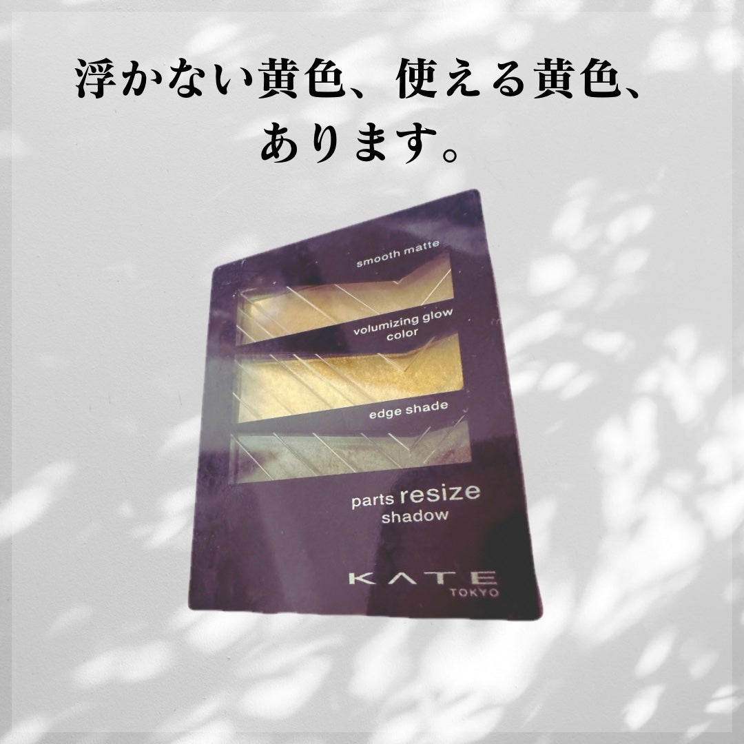 パーツリサイズシャドウ/KATE/アイシャドウパレットを使ったクチコミ(1枚目)