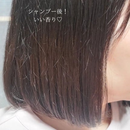 パフューム エレガンスアンバー シャンプー&コンディショナー/KERASYS/シャンプー・コンディショナーを使ったクチコミ(9枚目)