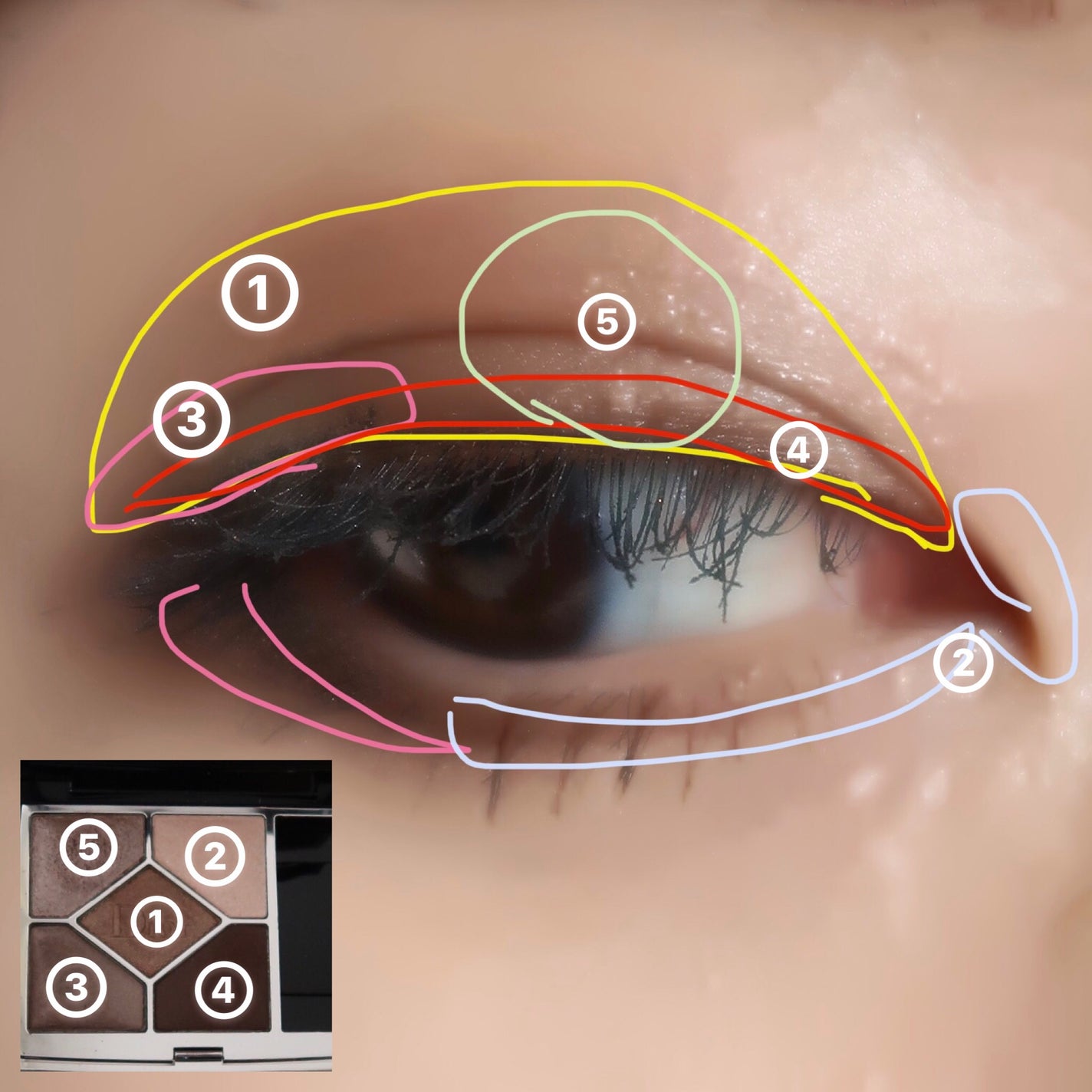 アイブロウ クリエイティブパレット/IPSA/パウダーアイブロウを使ったクチコミ(6枚目)