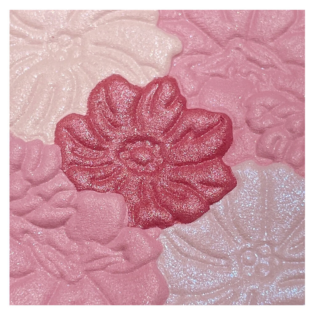 グロウフルールチークス/キャンメイク/パウダーチークを使ったクチコミ（3枚目）