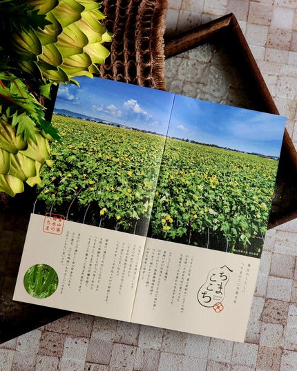 へちまローション/へちまここち/化粧水を使ったクチコミ(4枚目)