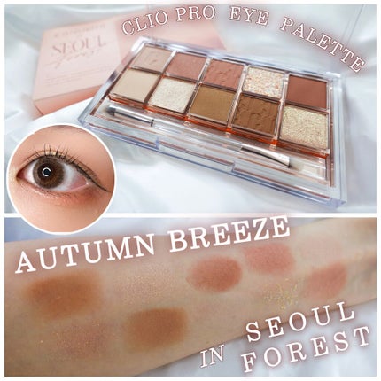 プロ アイ パレット/CLIO/アイシャドウパレットを使ったクチコミ(1枚目)