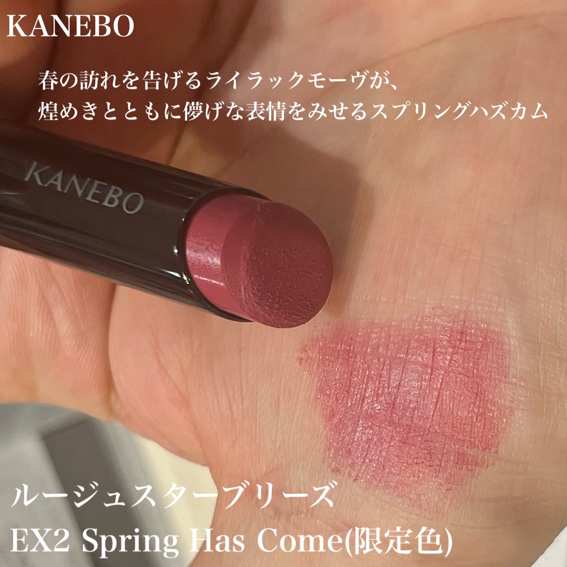 カネボウ ルージュスターブリーズ/KANEBO/口紅を使ったクチコミ（3枚目）