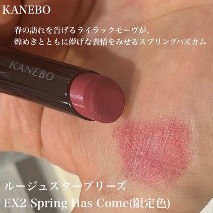 カネボウ ルージュスターブリーズ/KANEBO/口紅を使ったクチコミ(3枚目)
