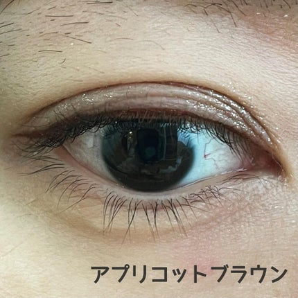 シルキーリキッドアイライナーWP/D-UP/リキッドアイライナーを使ったクチコミ(9枚目)