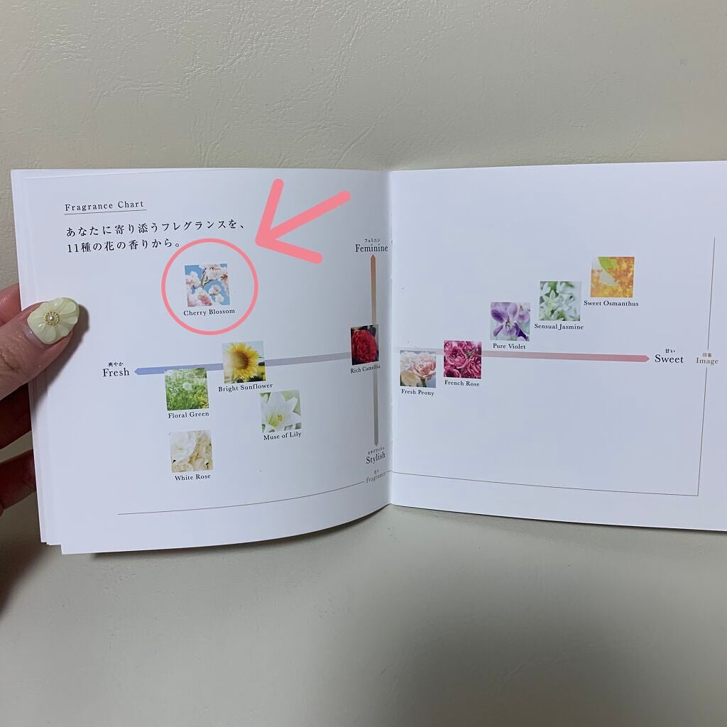 チェリーブロッサム オードパルファン/Flora Notis JILL STUART/香水(レディース)を使ったクチコミ(3枚目)