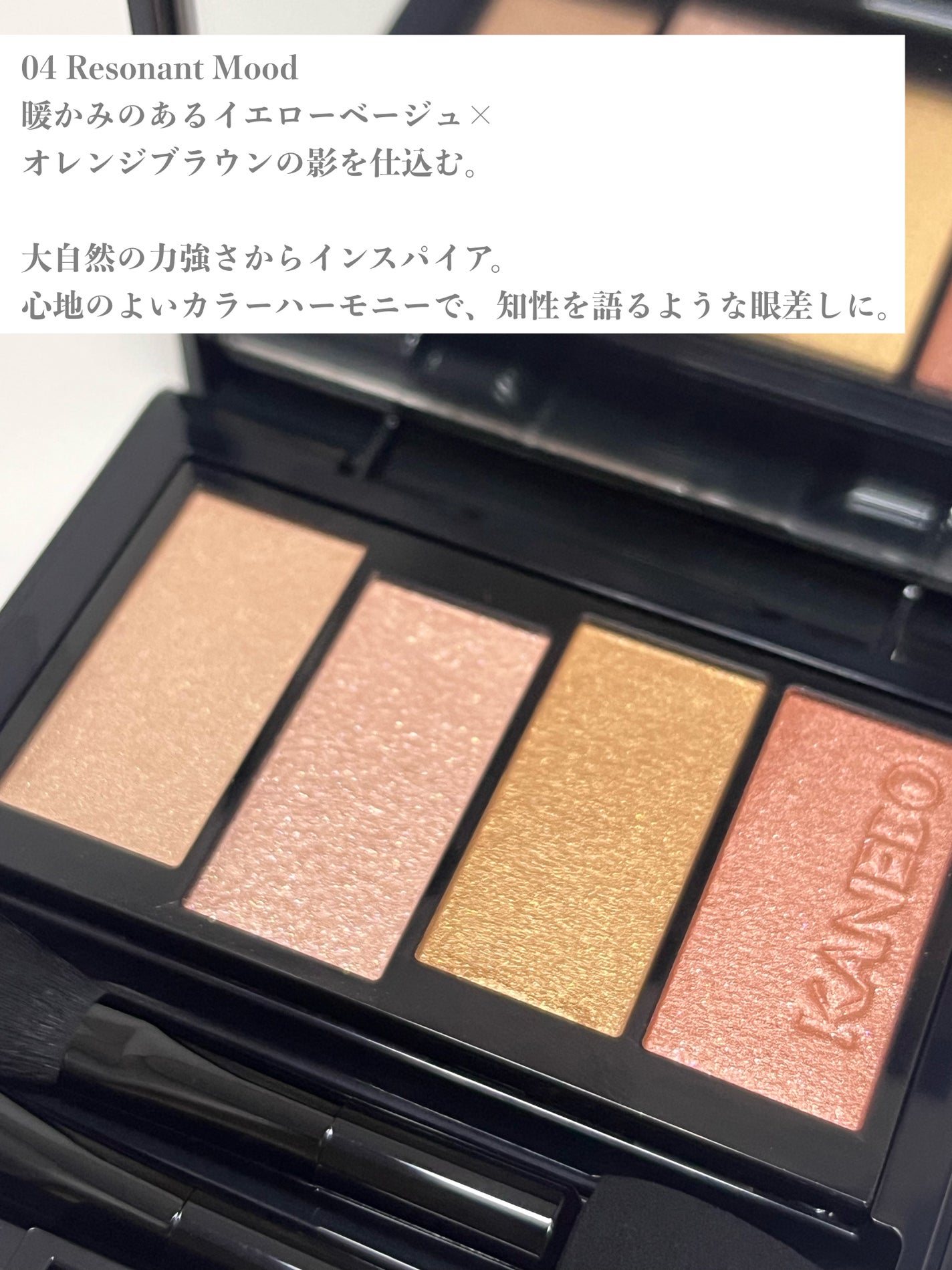 カラードシャドウ/KANEBO/アイシャドウパレットを使ったクチコミ(3枚目)