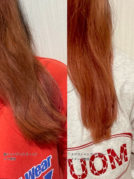 メロウシャンプー/メロウトリートメント/plus eau/市販シャンプーを使ったクチコミ(3枚目)