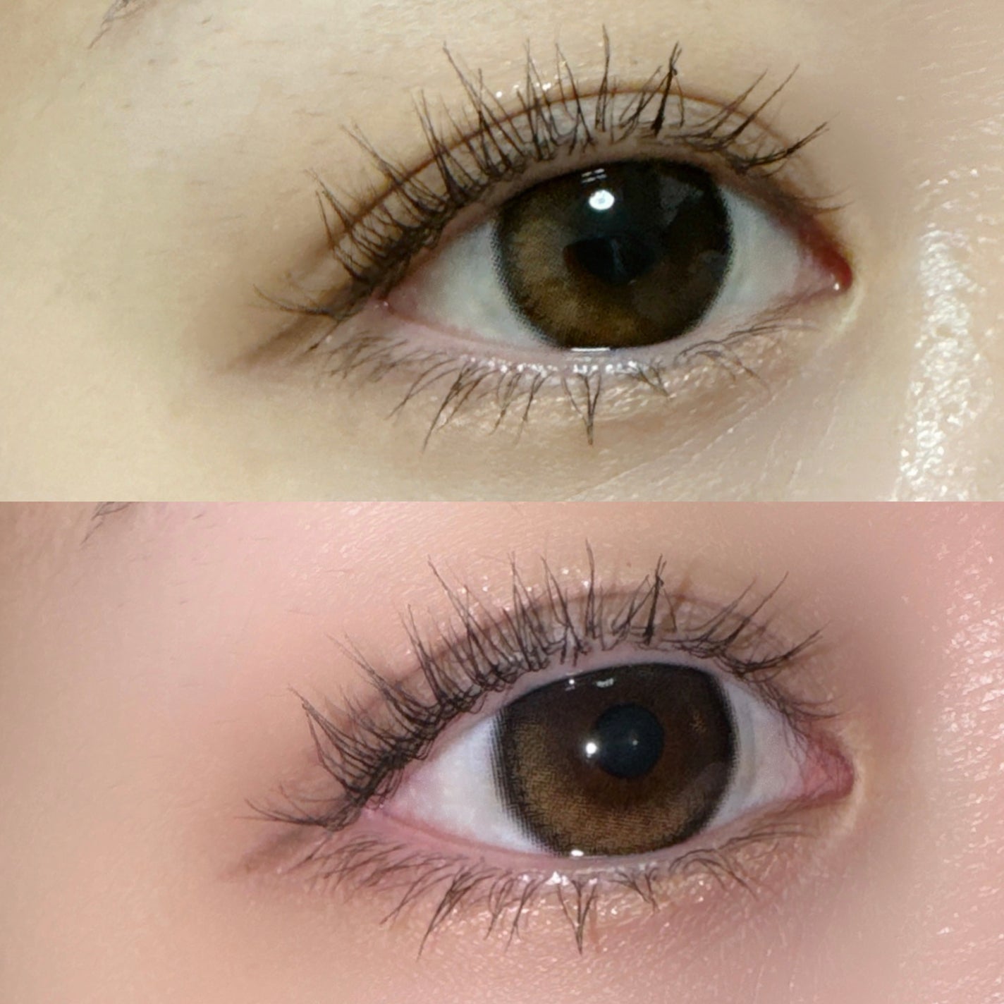 Glowy 1day/OLENS/ワンデー(1DAY)カラコンを使ったクチコミ(3枚目)