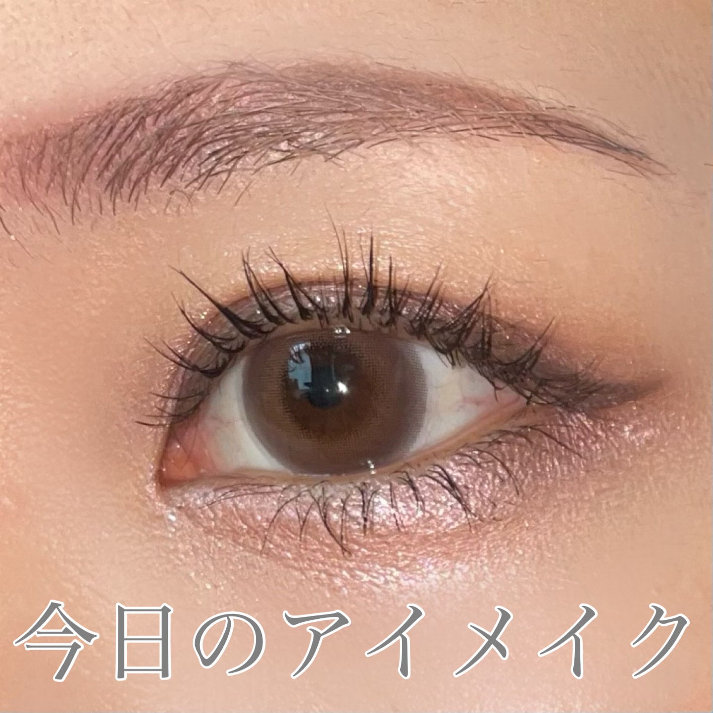 メイクアップ コレクション 2022 /DECORTÉ/メイクアップキットを使ったクチコミ（1枚目）