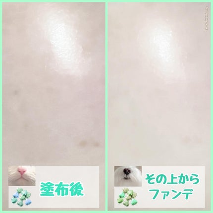 ウォータフルトーンアップサンクリーム/ダルバ/日焼け止めクリームを使ったクチコミ(4枚目)