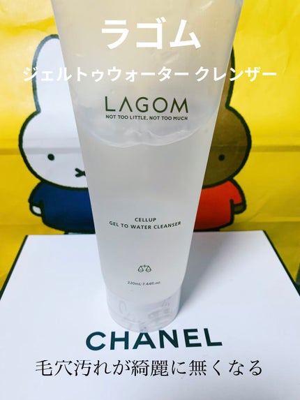 ラゴム ジェルトゥウォーター クレンザー(朝用洗顔)/LAGOM /その他洗顔料を使ったクチコミ(1枚目)