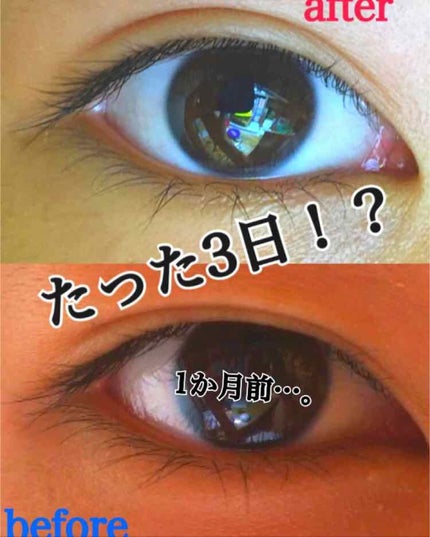 ローヤルゼリー配合 栄養ローション/DAISO/美容液を使ったクチコミ(2枚目)