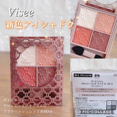 グロッシーリッチ アイズ N/Visée/アイシャドウパレットを使ったクチコミ（1枚目）