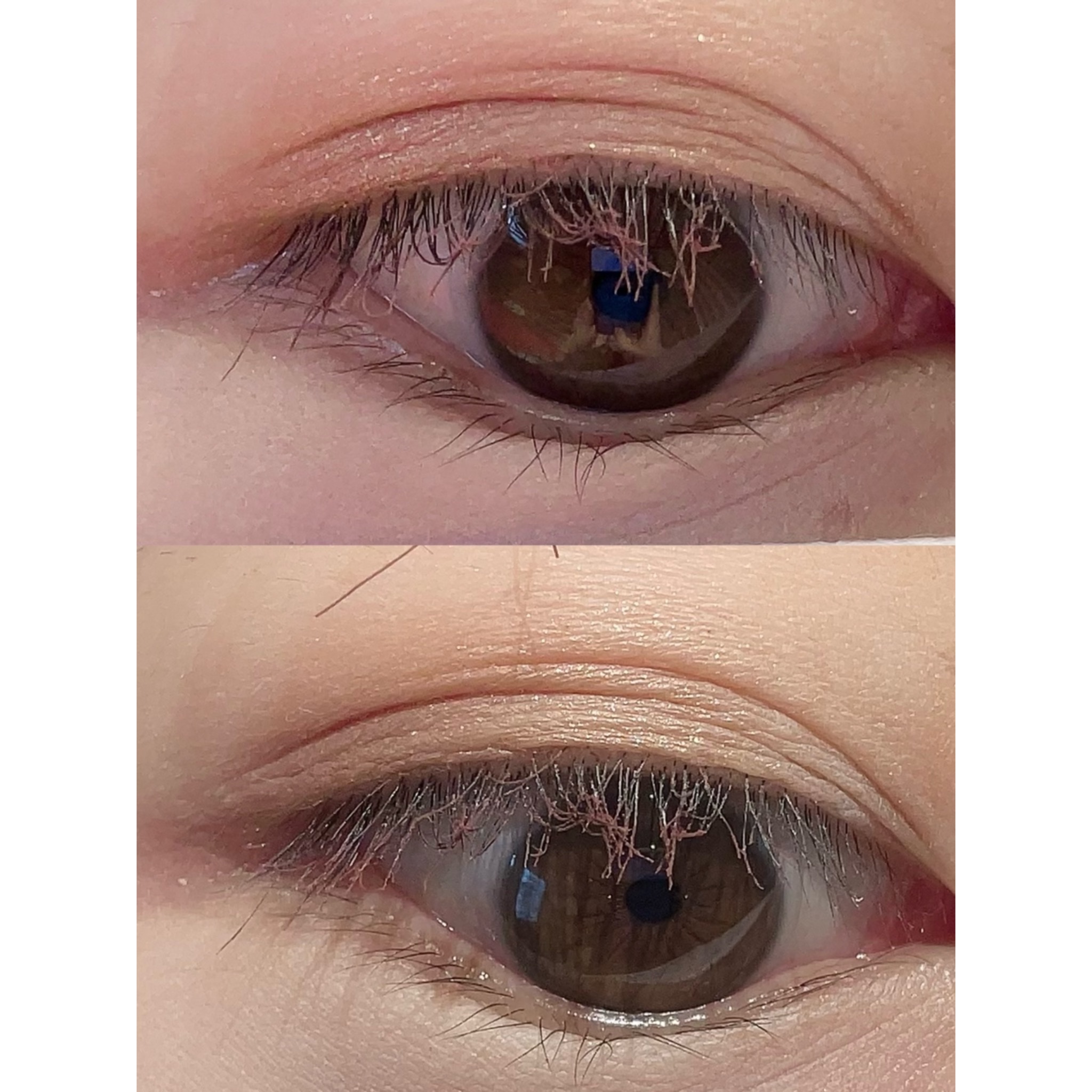 セレクト アイカラー Ｎ/ESPRIQUE/単色アイシャドウを使ったクチコミ（2枚目）