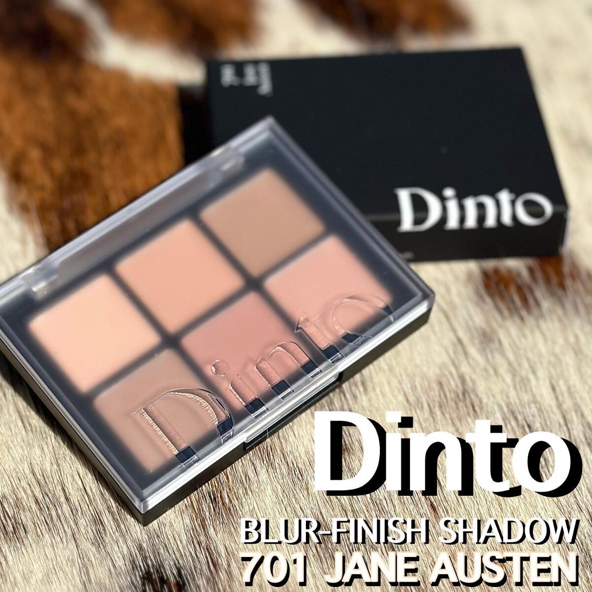 ブラーフィニシュシャドウパレット/Dinto/アイシャドウパレットを使ったクチコミ(1枚目)