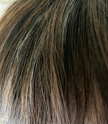 プリオール ヘア ファンデーションのクチコミ「美のカリスマ、MEGUMIさんでも2週に1回白髪染めしてるんだとか。私も最近ちらほら白髪が出て.....」（2枚目）