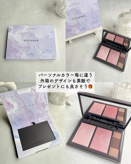 フィット my カラーパレット/STEIASUR(ステイアシュール)/マルチパレットを使ったクチコミ(4枚目)