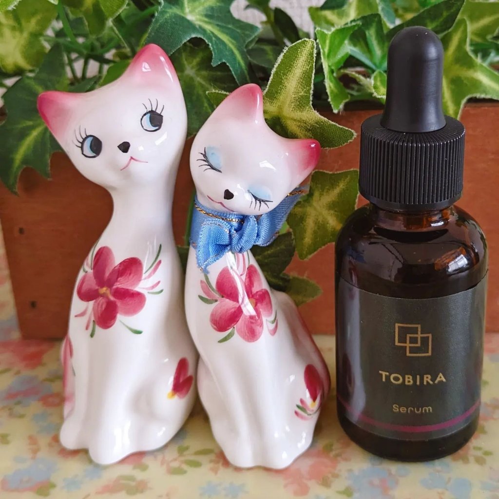 TOBIRA美容液/TOBIRA/美容液を使ったクチコミ（1枚目）