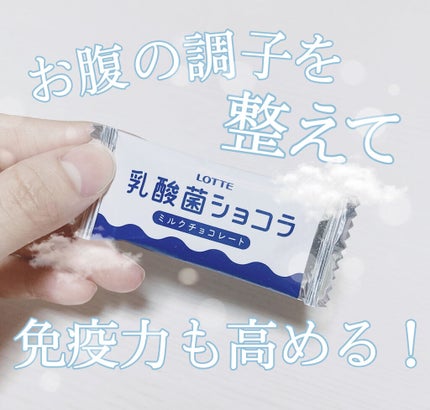 デザート&サプリメント 乳酸菌ショコラ/ロッテ/食品を使ったクチコミ(1枚目)
