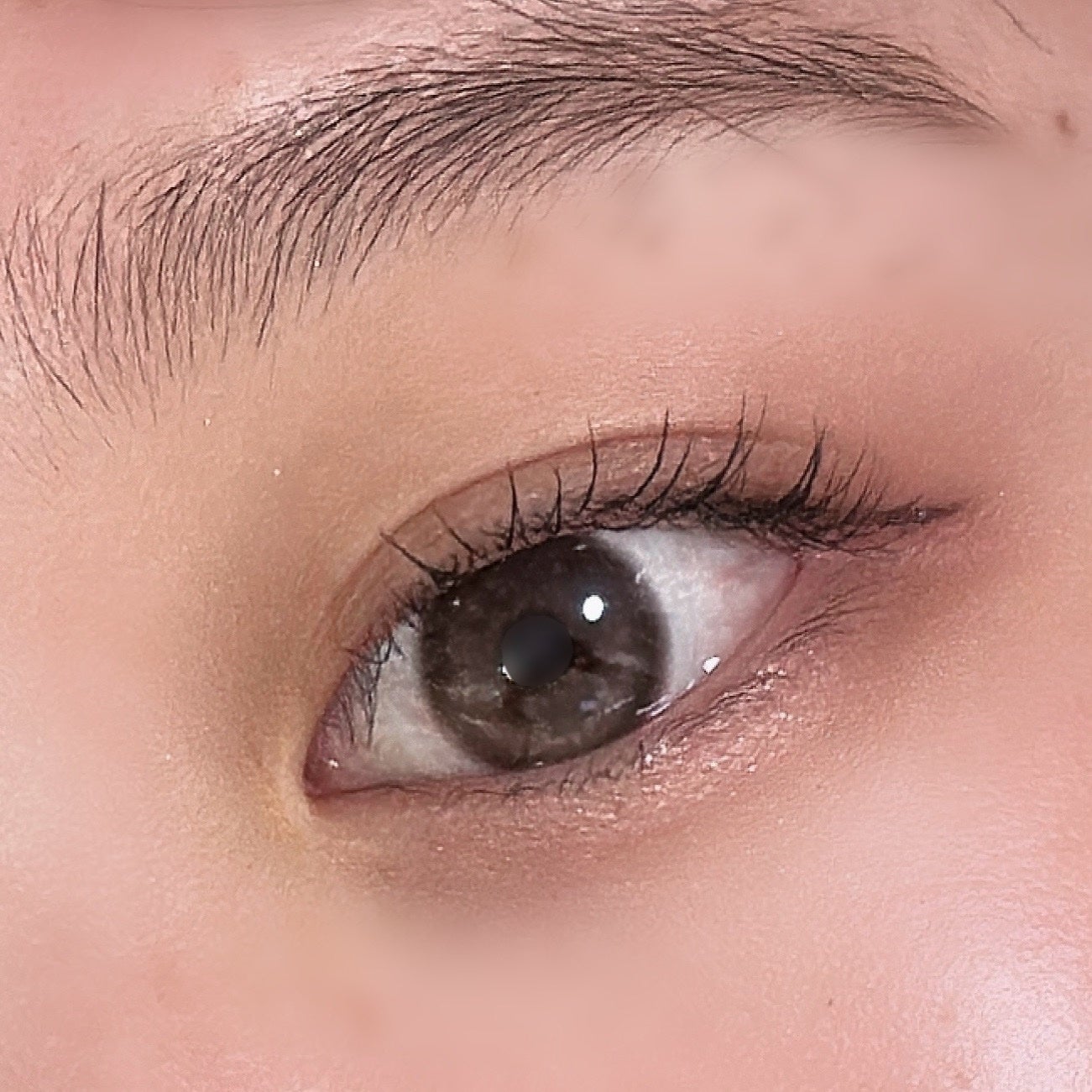 パーフェクトエクステンション マスカラ/D-UP/マスカラを使ったクチコミ(1枚目)