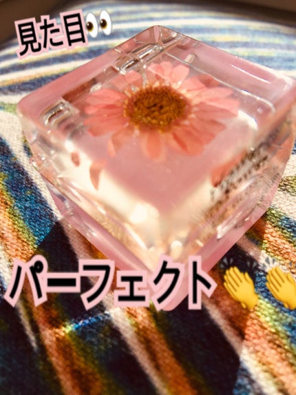SCENTED LIP GLOSS/アイランドガール /リップグロスを使ったクチコミ(1枚目)