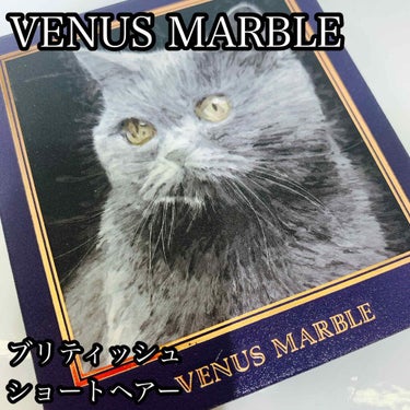 Venus Marble アイシャドウキャットシリーズ ブリティッシュショートヘア/Venus Marble/パウダーアイシャドウを使ったクチコミ（1枚目）