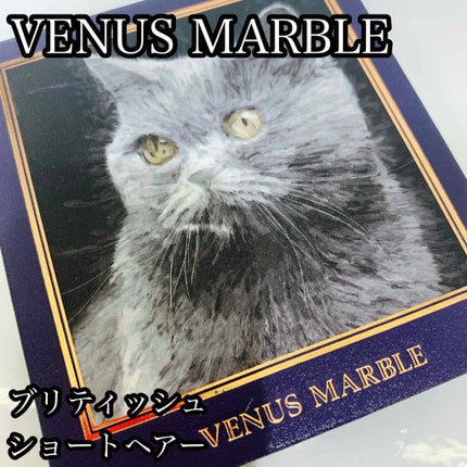 Venus Marble アイシャドウキャットシリーズ/Venus Marble/アイシャドウパレットを使ったクチコミ(1枚目)