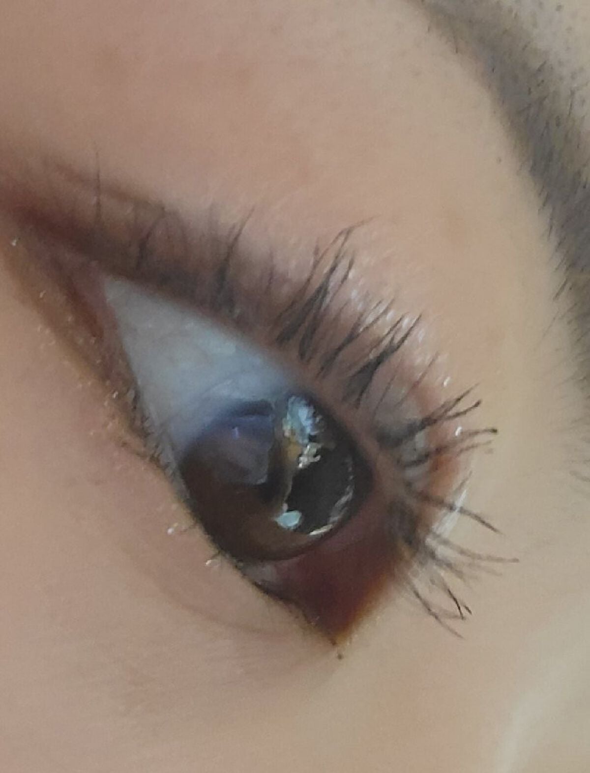 エアリーロングラッシュマスカラ/CEZANNE/マスカラを使ったクチコミ(1枚目)