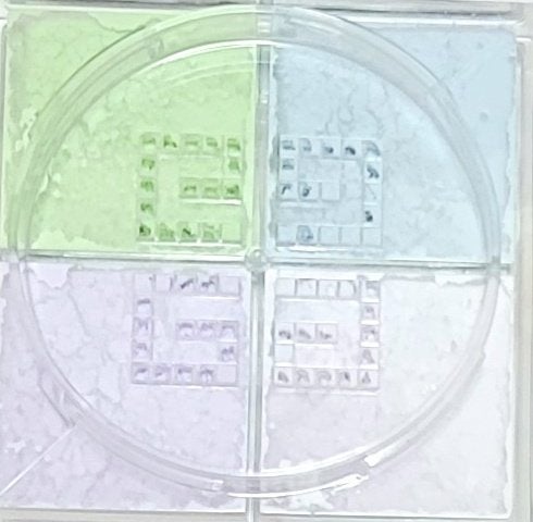 プリズム・リーブル/GIVENCHY/ルースパウダーを使ったクチコミ(3枚目)