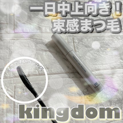 キングダム 束感ロングマスカラ/キングダム/マスカラを使ったクチコミ(1枚目)