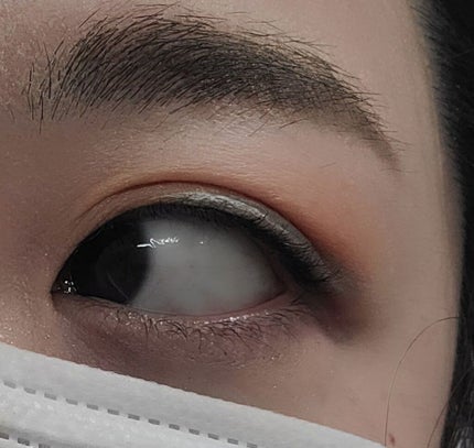 キャビアスティック アイカラー/ローラ メルシエ/スティックアイシャドウを使ったクチコミ(2枚目)