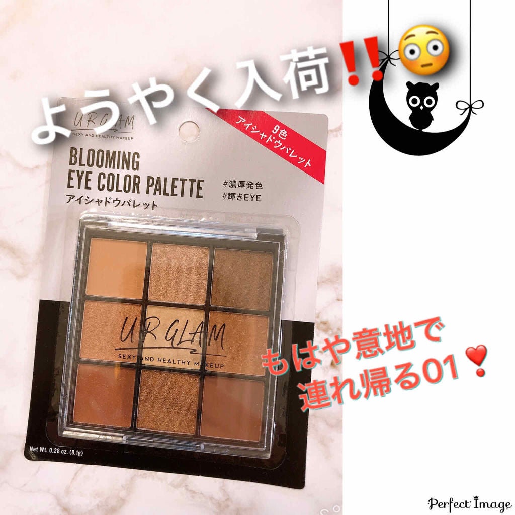 UR GLAM BLOOMING EYE COLOR PALETTE/U R GLAM/アイシャドウパレットを使ったクチコミ(1枚目)