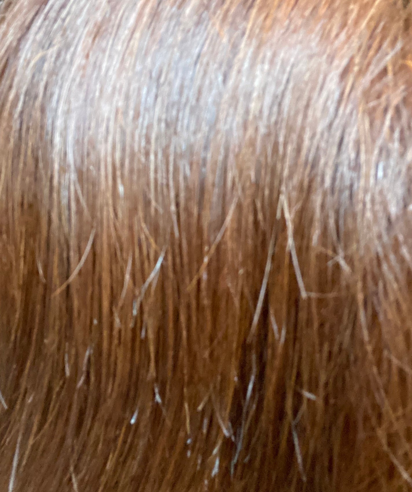 ミラクルズ うるおいブーストミルクウォーターセラム/パンテーン/アウトバストリートメントを使ったクチコミ(5枚目)