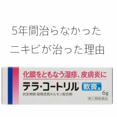 テラ・コートリル 軟膏(医薬品)/ジョンソン・エンド・ジョンソン/その他を使ったクチコミ（1枚目）