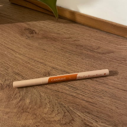 3wayスリムアイルージュライナー/キャンメイク/リキッドアイライナーを使ったクチコミ(1枚目)