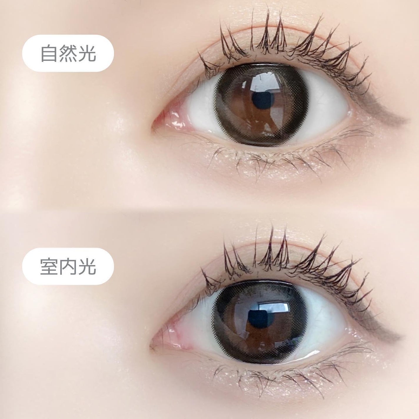 エバーカラーワンデーミリモア/エバーカラー/ワンデー(1DAY)カラコンを使ったクチコミ(3枚目)