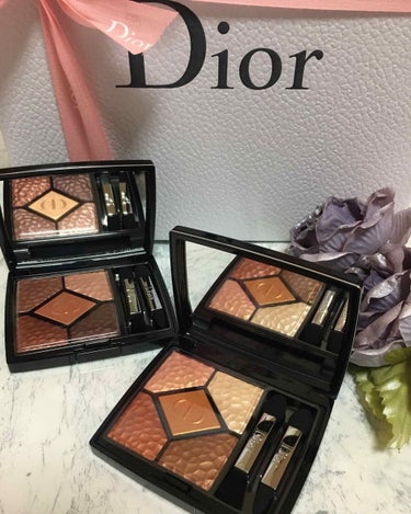 サンク クルール<ワイルド アース＞ 786 テラ/Dior/パウダーアイシャドウを使ったクチコミ（1枚目）