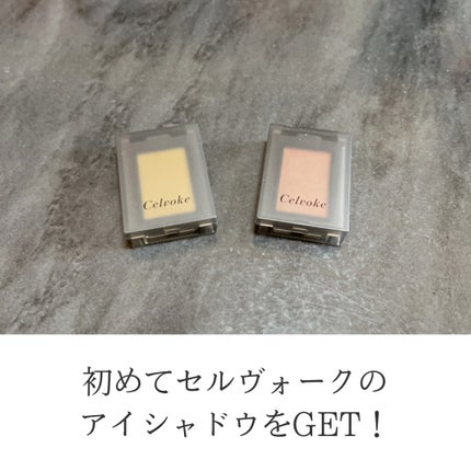 ヴァティック アイズ/Celvoke/単色アイシャドウを使ったクチコミ(2枚目)