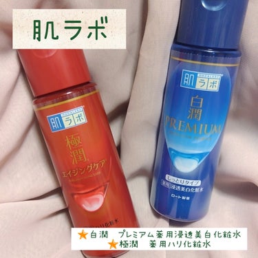 極潤 薬用ハリ化粧水【医薬部外品】/肌ラボ/化粧水を使ったクチコミ（1枚目）