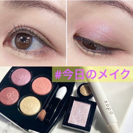 「塗るつけまつげ」ロングタイプ/デジャヴュ/マスカラを使ったクチコミ(1枚目)