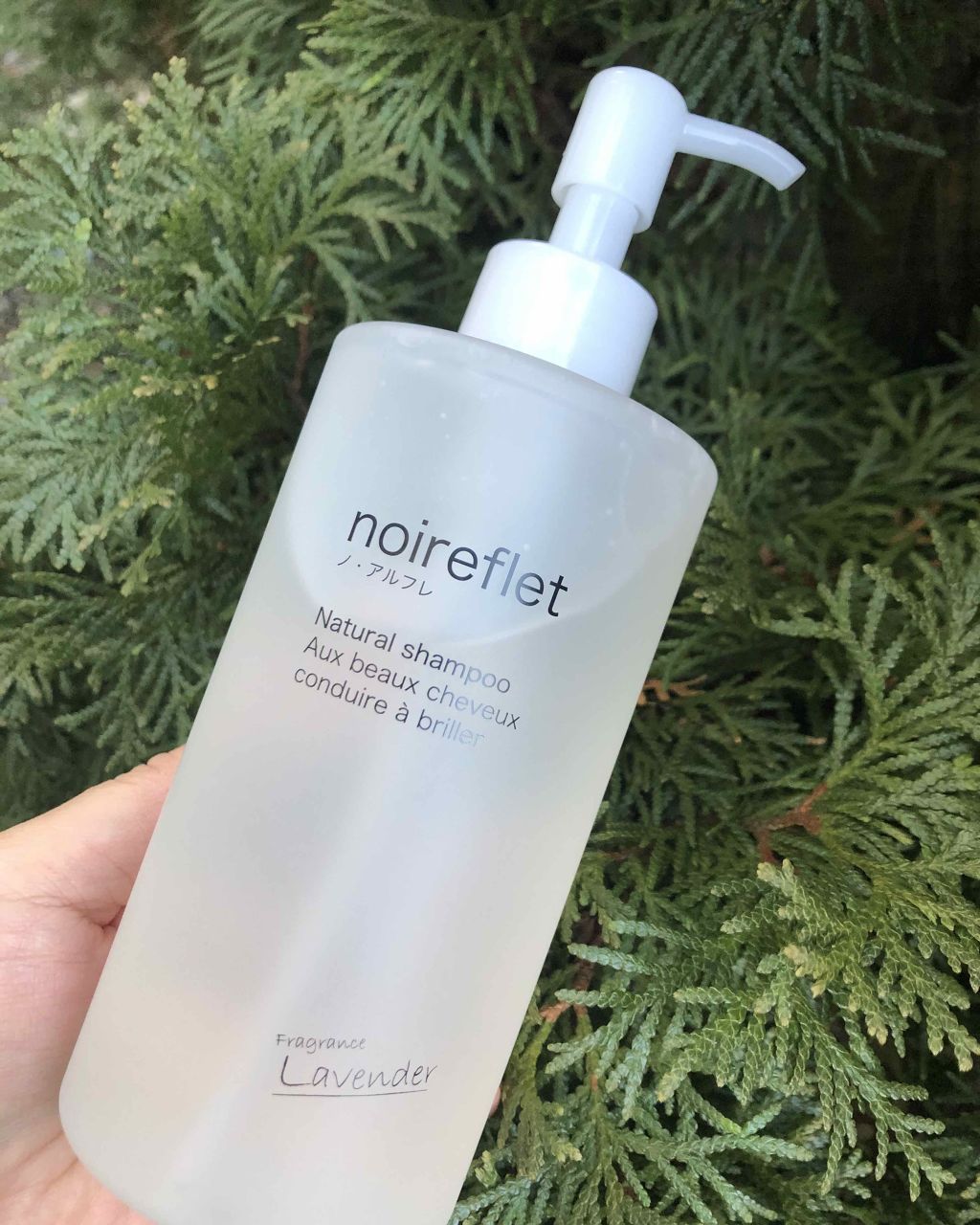 ノ·アルフレnoireflet ナチュラルシャンプー 290ml2個 Amazon | ノ アルフレ シャンプー オールインワン ボトル 低刺激