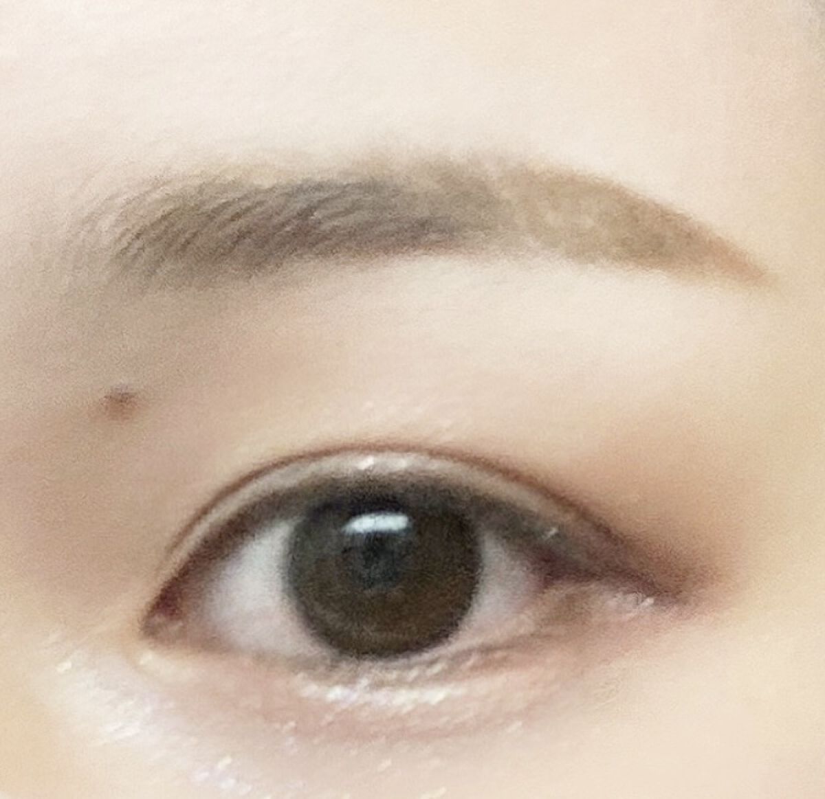 シャドーフラッシュ /マジョリカ マジョルカ/アイシャドウパレットを使ったクチコミ（1枚目）